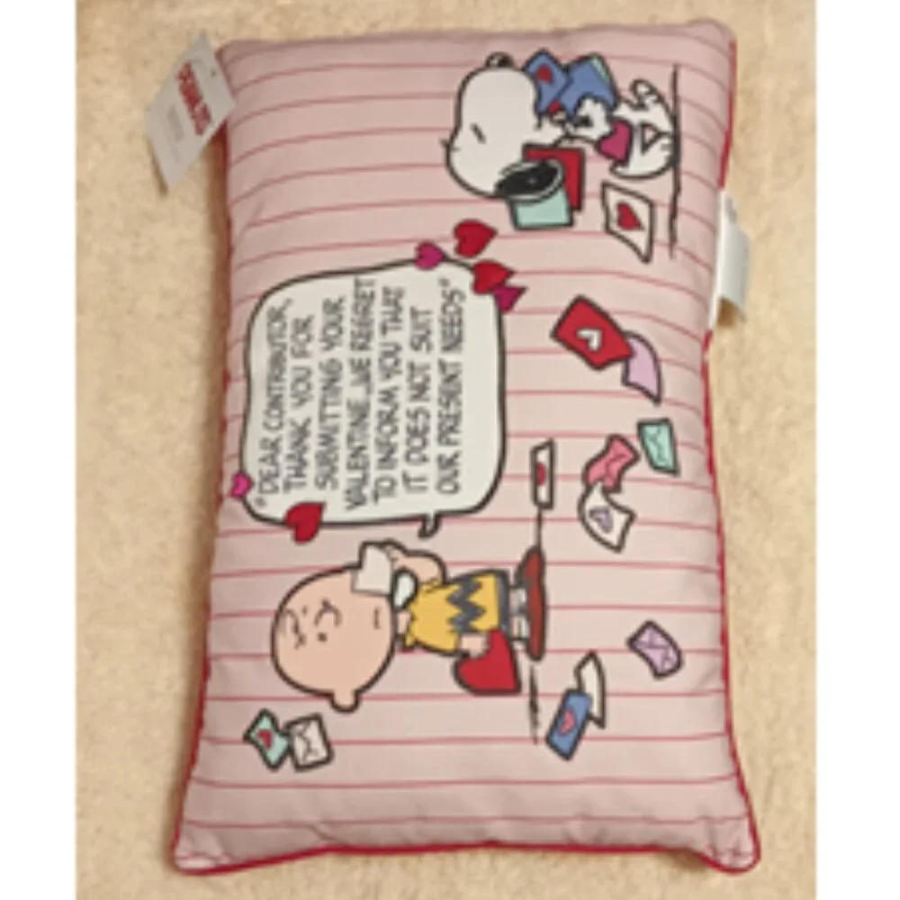 NWT ~ Peanuts Valentine's Snoopy & Charlie Brown Comic Decorative Throw Pillow